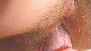 Grosses bites