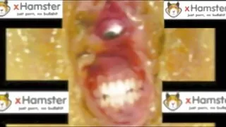 Une video porno adulte jeune latina sert passionnément la bite de son petit ami au lit